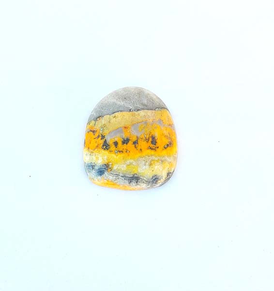 jaspe bumble bee jaspe bumble bee